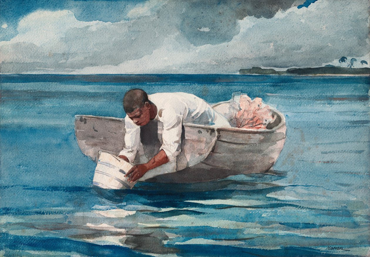 Wachlarz wody autorstwa Winslow Homer