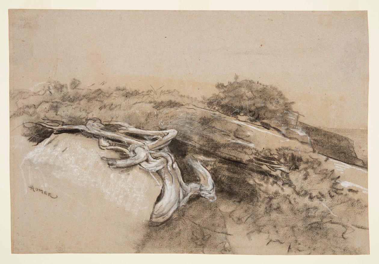 Korzenie drzew, szyja Prouta autorstwa Winslow Homer