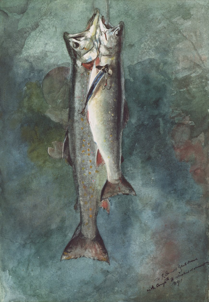 Dwa pstrągi, 1891 (wc na papierze) autorstwa Winslow Homer