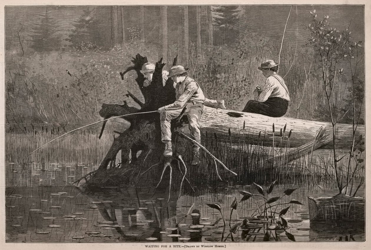 Czekając na kęs autorstwa Winslow Homer