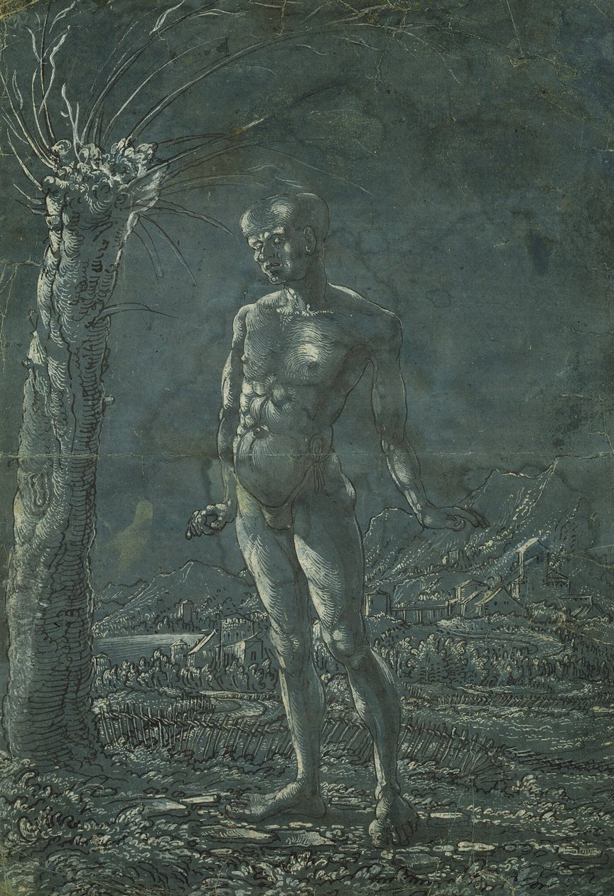 Stojący nagi mężczyzna w krajobrazie, ok. 1512 (pióro i czarny tusz z białymi podkreśleniami na papierze) autorstwa Wolf Huber