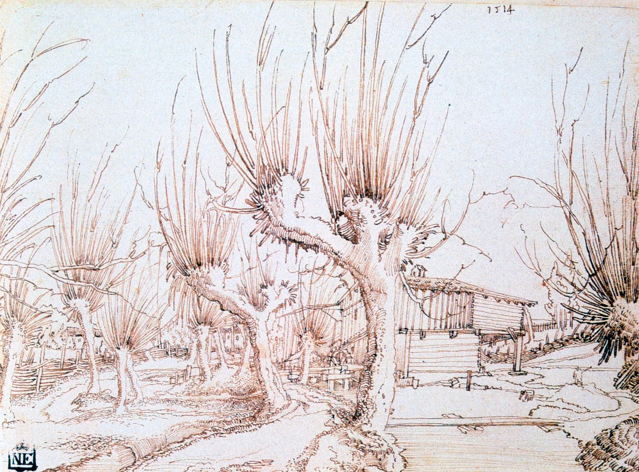 „Plantacja wierzby”, 1514 autorstwa Wolf Huber