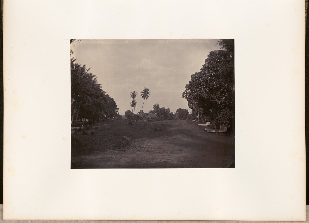 [Prace brukarskie na drodze w Prapatan, Batavia]. autorstwa Woodbury and Page