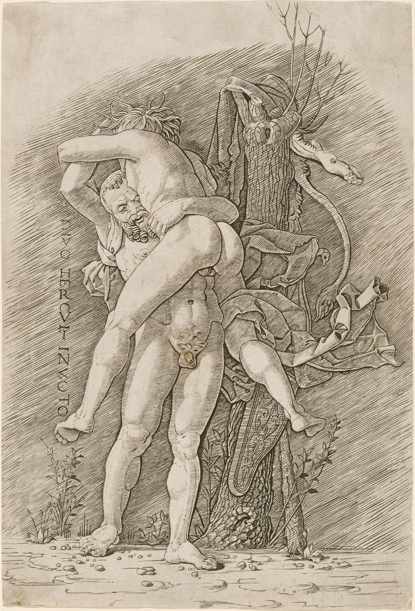 Herkules i Anteusz autorstwa Workshop of Andrea Mantegna