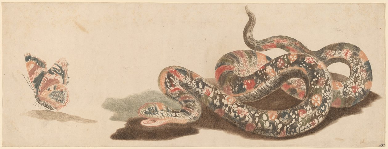 Wąż i motyl, lata 80.1690. autorstwa Workshop of Johann Teyler