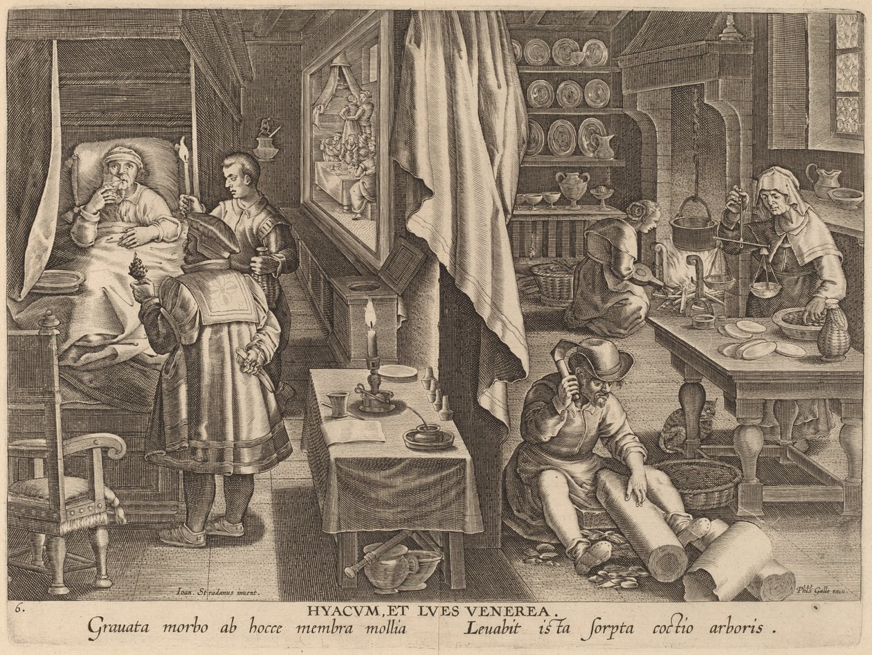 Guaiacum i infekcja weneryczna autorstwa Workshop of Philip Galle after Jan van der Straet