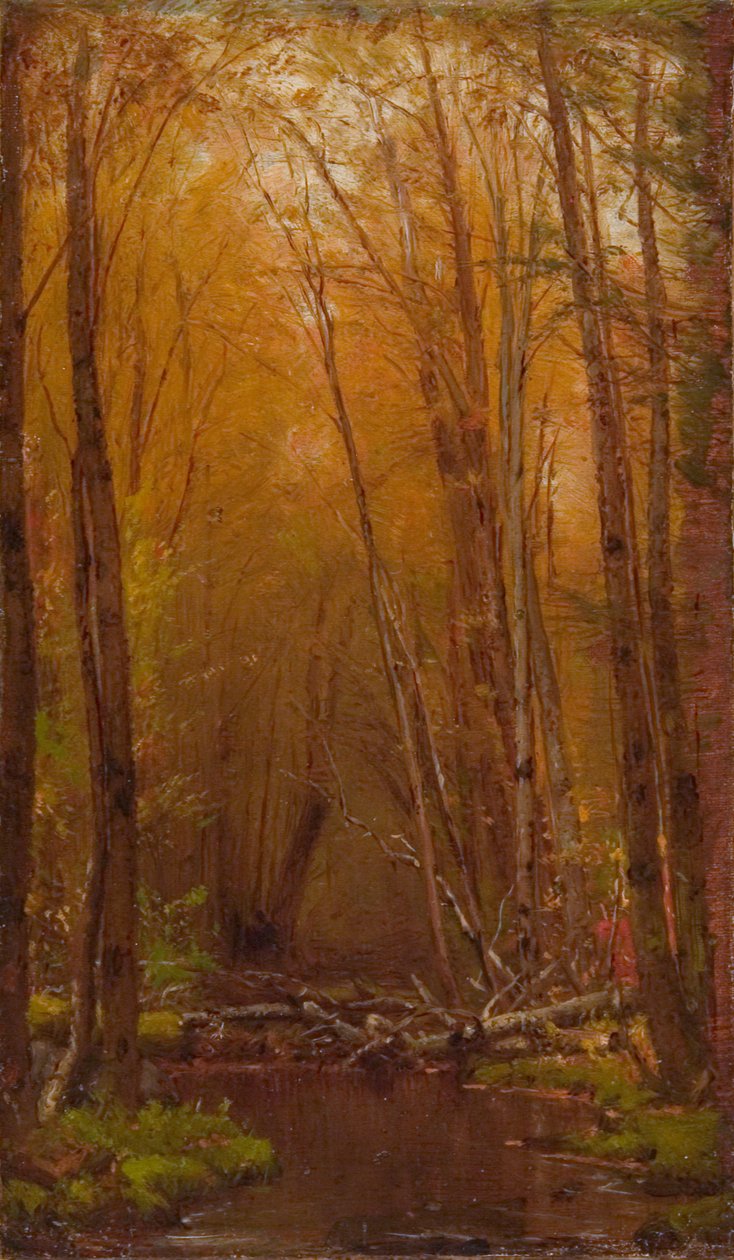 Brzozy z Catskills autorstwa Worthington Whittredge