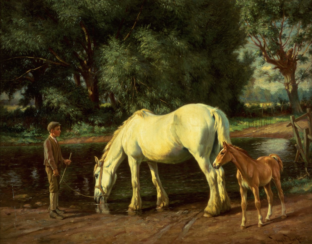 Klacz i jej źrebię w bród (olej na płótnie) autorstwa Wright Barker