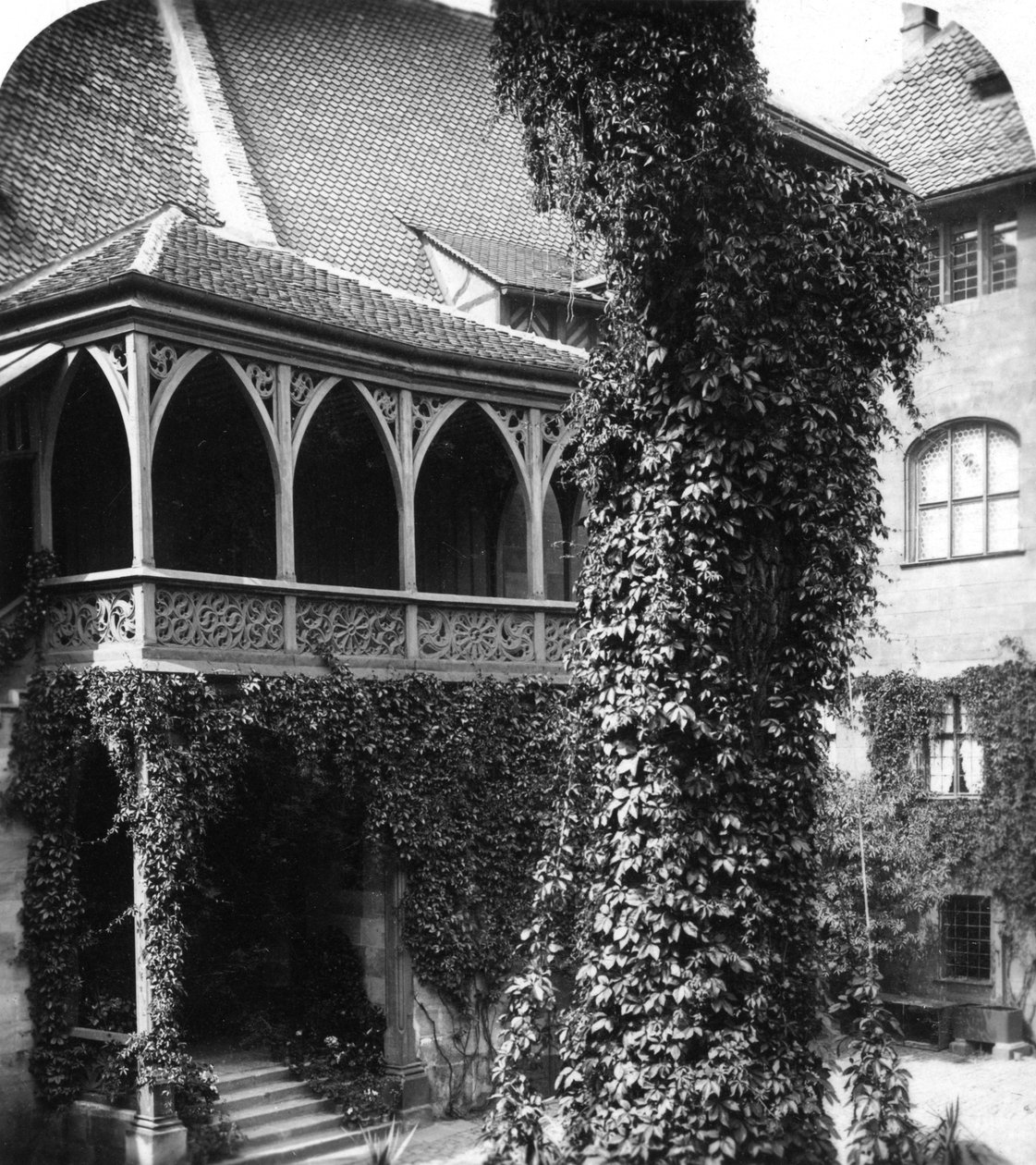 Lipa na dziedzińcu, Norymberga, Bawaria, Niemcy, ok. 1900. autorstwa Wurthle and Sons