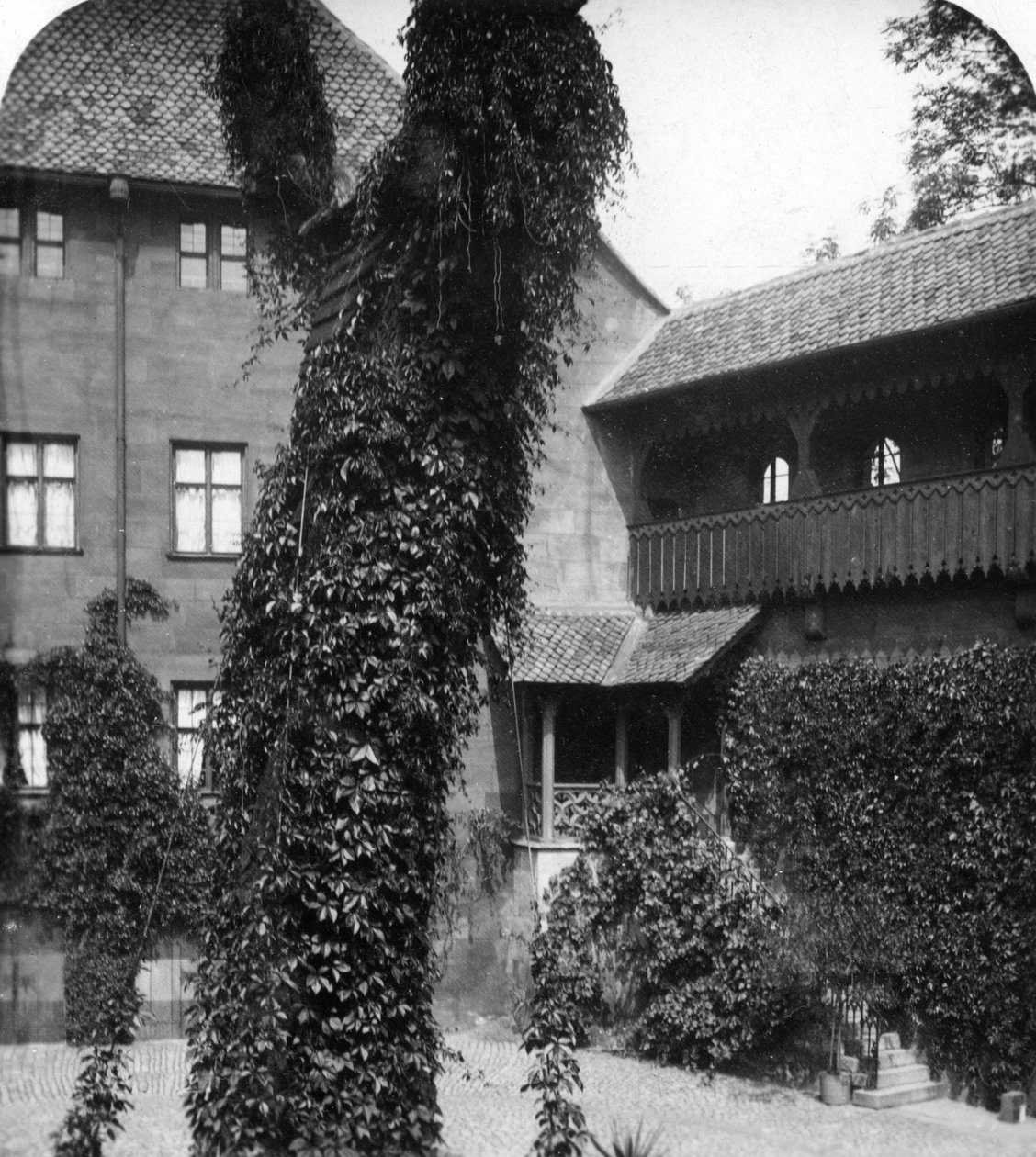 Lipa na dziedzińcu, Norymberga, Bawaria, Niemcy, ok. 1900. autorstwa Wurthle and Sons