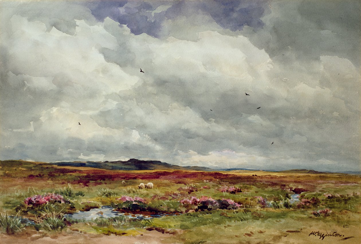 Wietrzny dzień, Dartmoor autorstwa Wycliffe Egginton