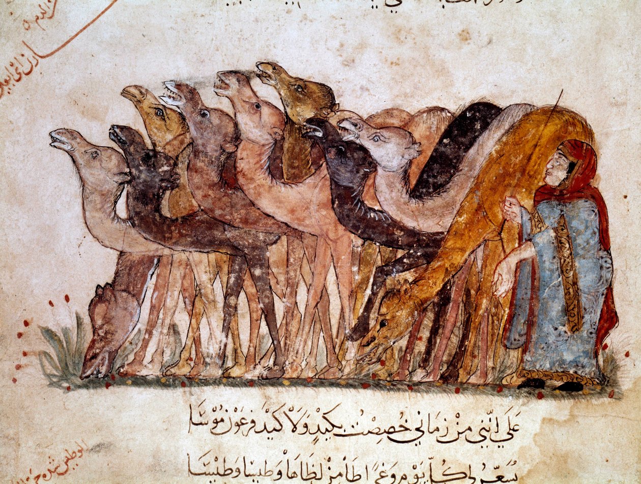 Grupa wielbłądów i wielbłądów, karawana na pustyni. Strona „”Maqamat”” (Seansy), poemat łotrzykowski z XI wieku arabskiego poety Abu Mohammeda al-Kasima ibn Ali Hariri (albo Al-Hariri lub Al Hariri) (1054-1122) zilustrowany przez Al-Wasiti (al. -Wasiti) autorstwa Yahya ibn Mahmud Al Wasiti