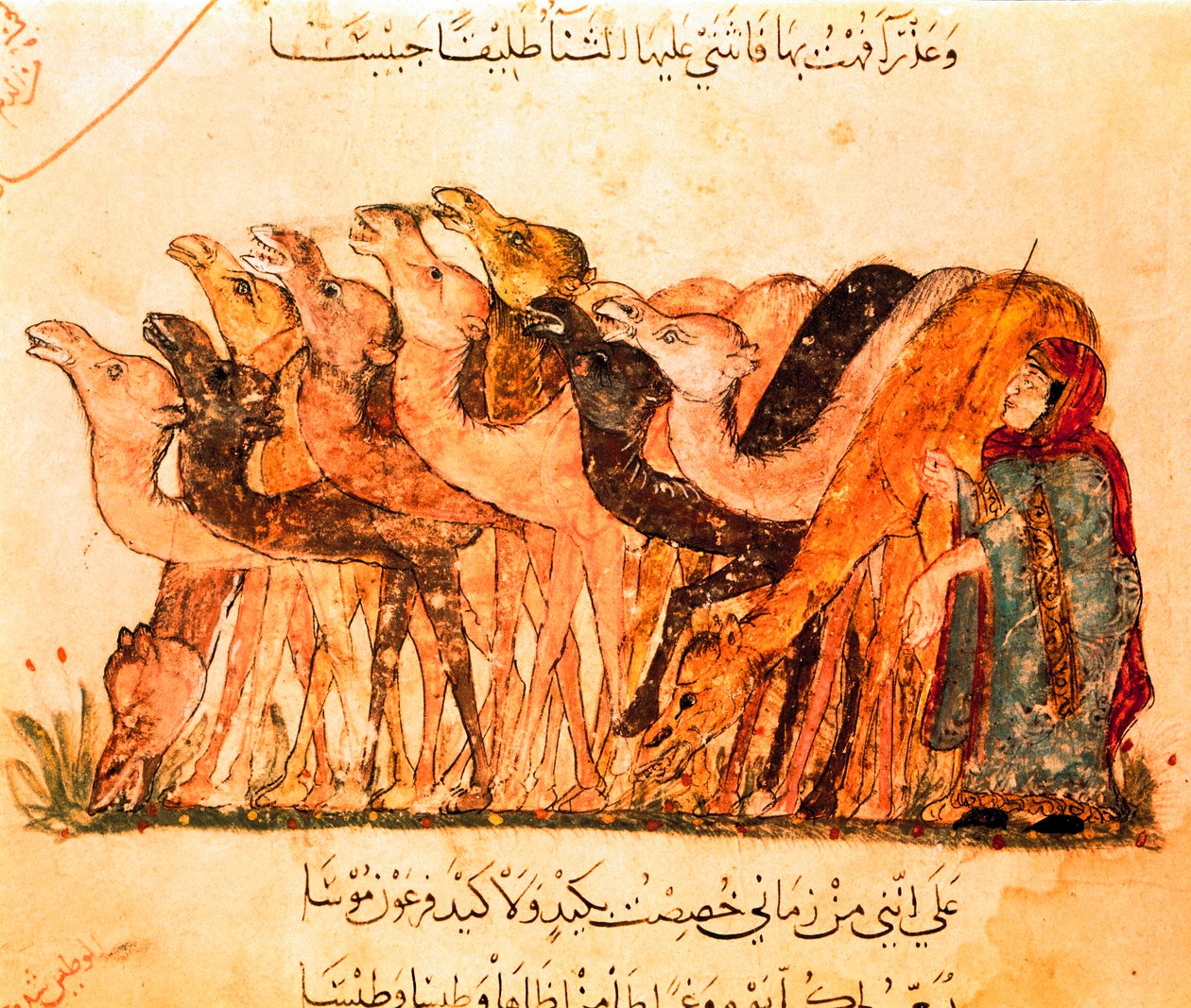 Grupa wielbłądów i pasterz wielbłądów z „Maqamat” autorstwa Yahya ibn Mahmud Al Wasiti