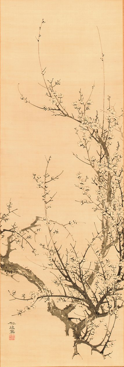 Śliwka, przed 1856 (tusz na jedwabiu) autorstwa Yamamoto Baiitsu