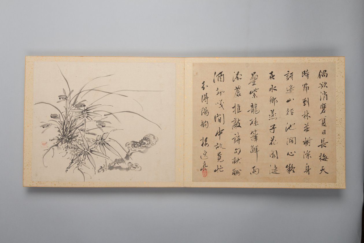 Wyrafinowana elegancja w czterech porach roku Shiji seiga, Album obrazów kwiatowych, 1844. autorstwa Yamamoto Baiitsu