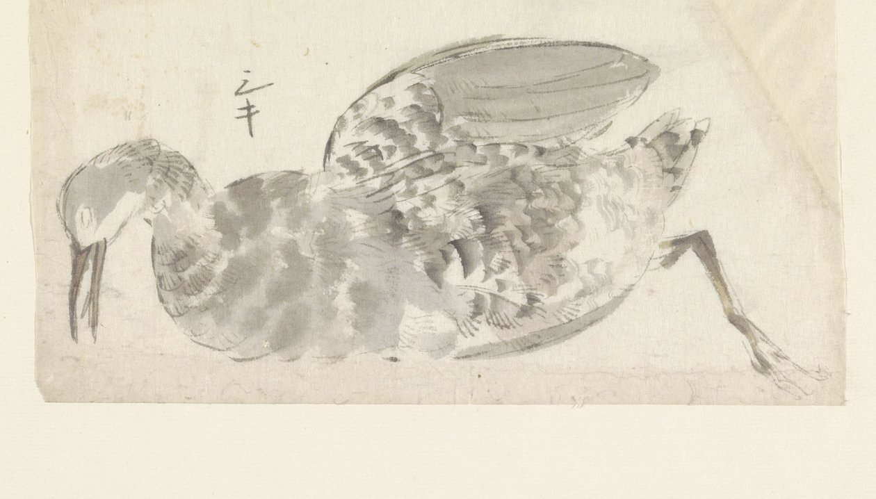 martwy ptak wodny autorstwa Yamamoto Shinryo Baiitsu (possibly)