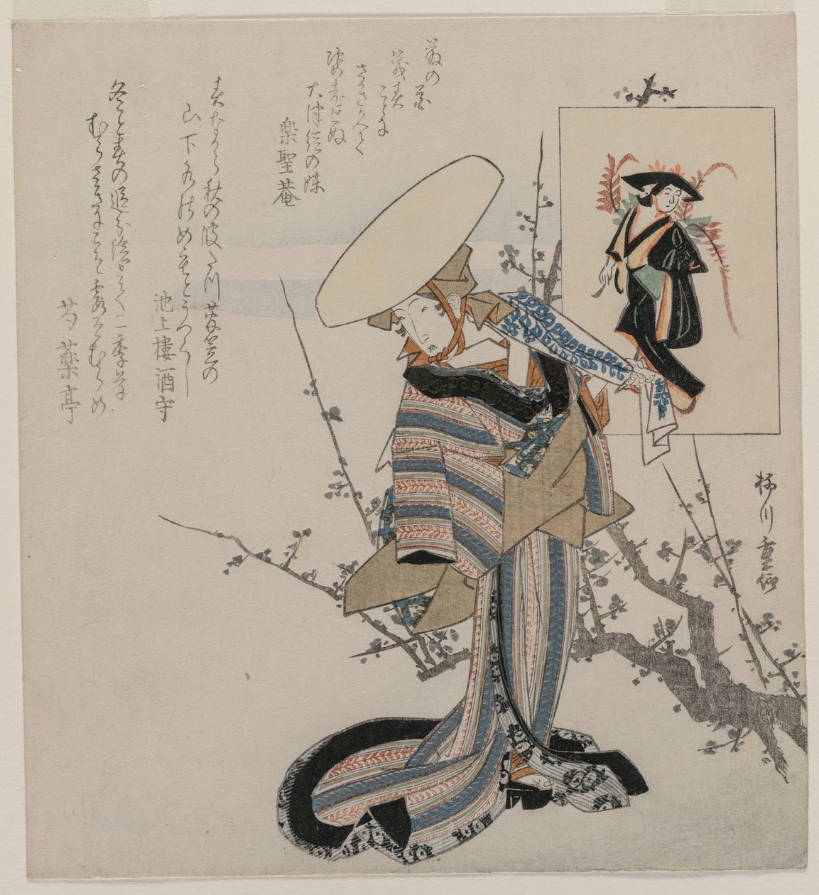 Kobieta przy śliwce dobrana do Wisteria Maiden (z serii kobiet porównanych do postaci z obrazów Otsu) autorstwa Yanagawa Shigenobu