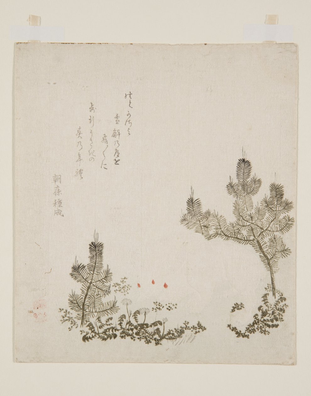 (kolorowy druk drzeworytu) autorstwa Yashima Gakutei