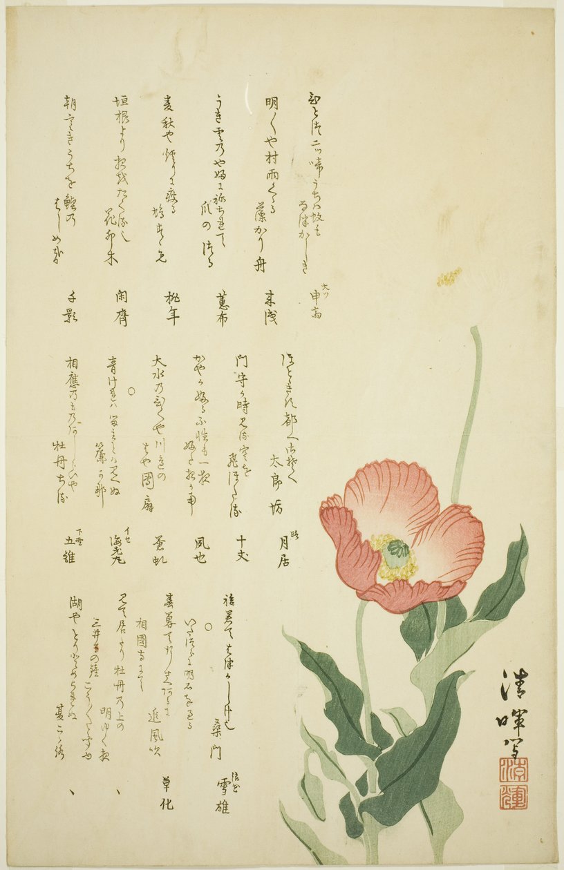 Dwa maki autorstwa Yokoyama Seiki