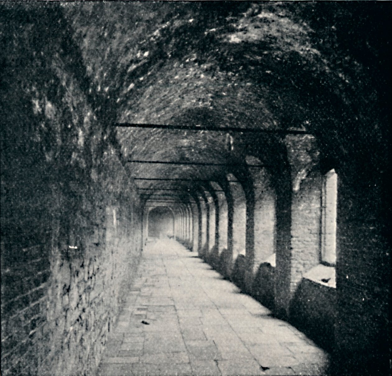 Cloisters, Charterhouse, Londyn, 1903 autorstwa York and Son