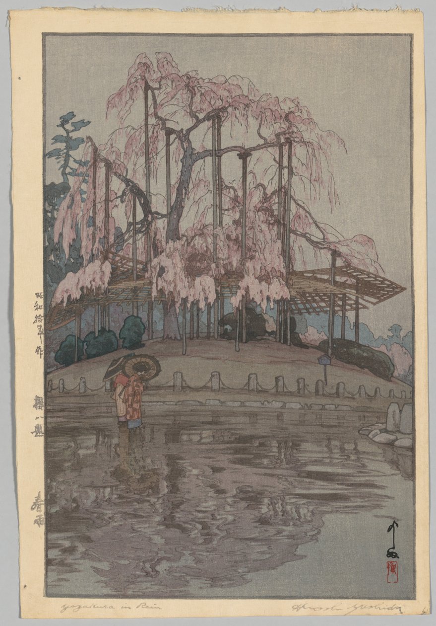 Osiem scen kwitnących wiśni: Wiosenny deszcz (Sakura nie lubi: Harusame) autorstwa Yoshida Hiroshi