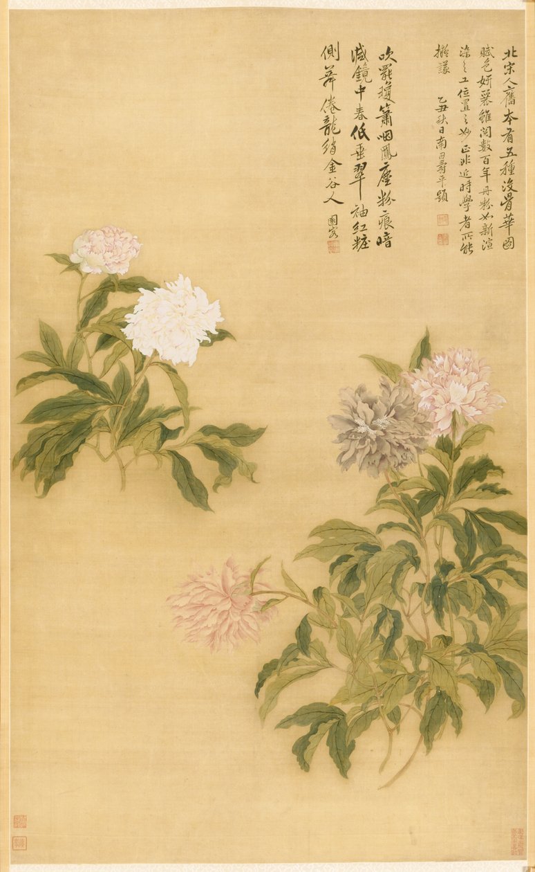 Piwonie autorstwa Shouping Yun