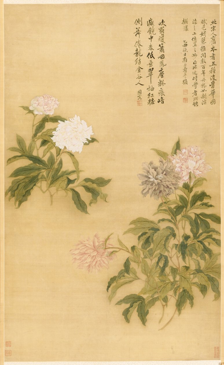 Piwonie, 1685. autorstwa Shouping Yun