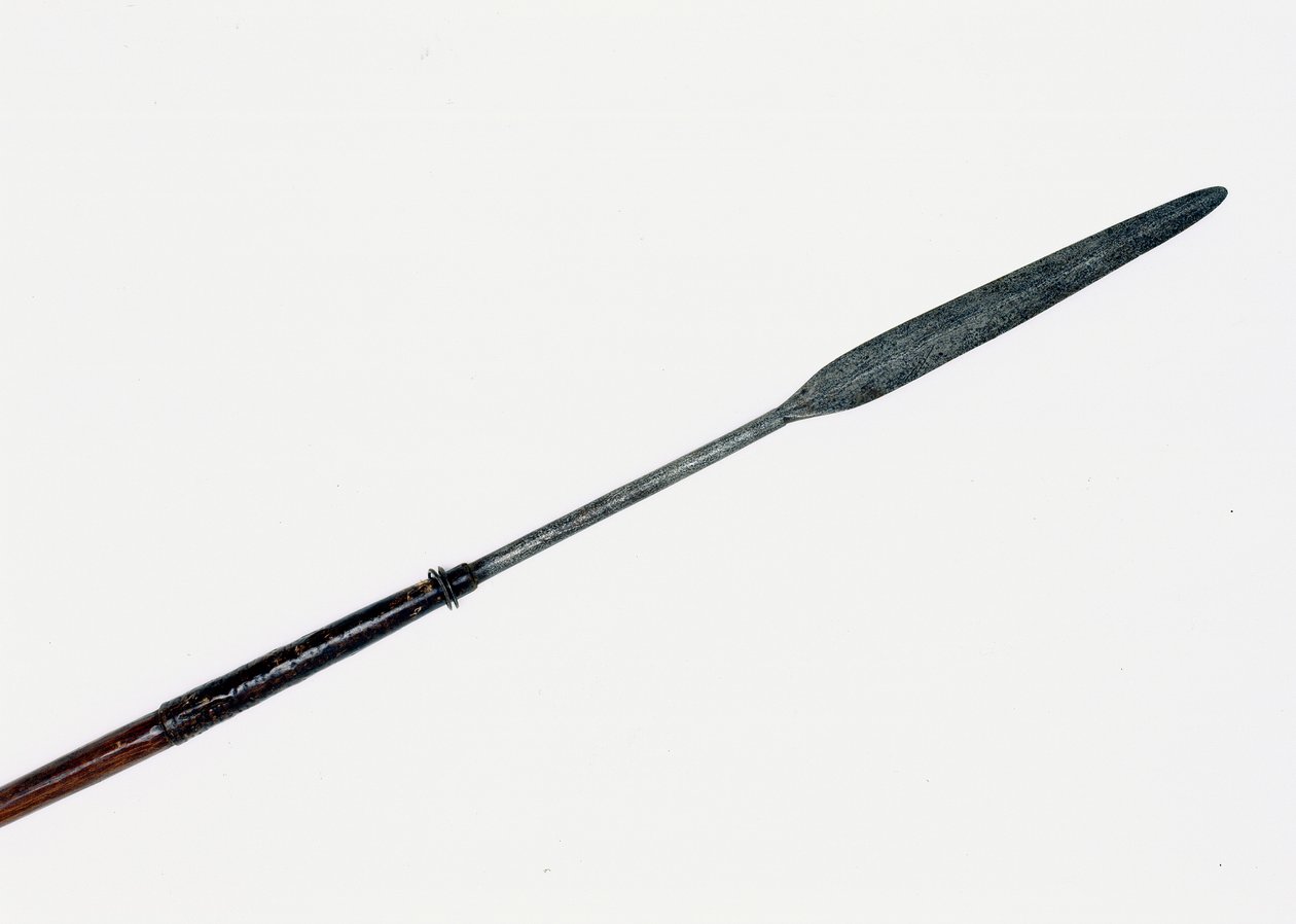 Assegai odzyskane z okolic ciała księcia cesarskiego autorstwa Zulu