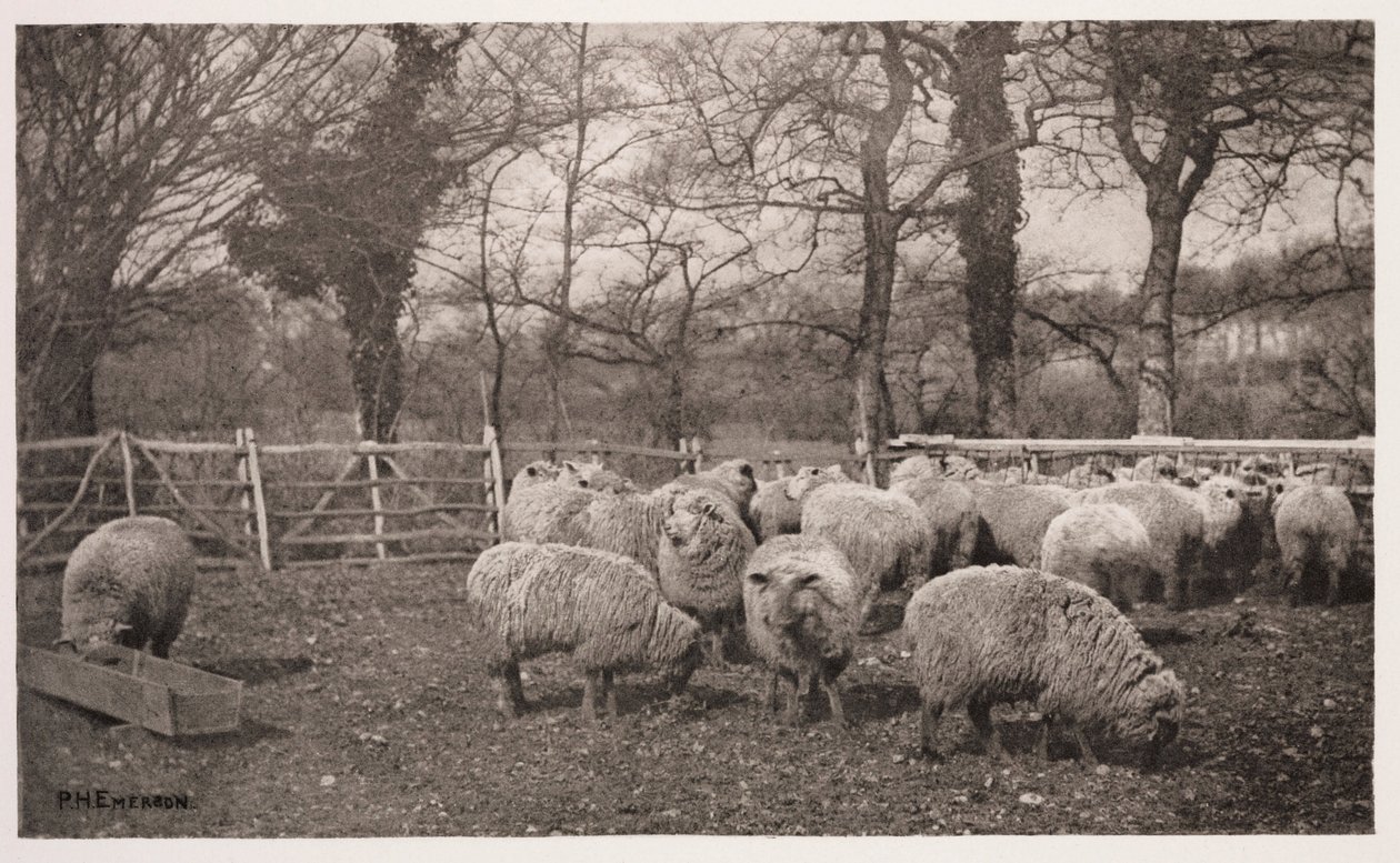 „Jesienne pasterstwo” autorstwa Frederick (attr. to) Barnard