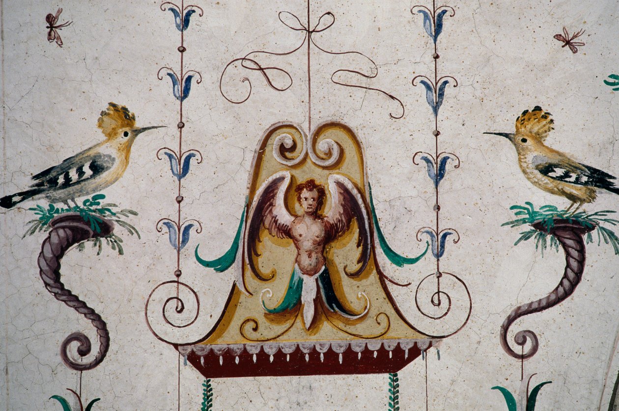 Ptaki, fragment fresków w sklepieniu Grotesque Hall (XVI w.), Zamek Manta, Saluzzo, Piemont, Włochy autorstwa Georg Carl Heinrich Dollmann