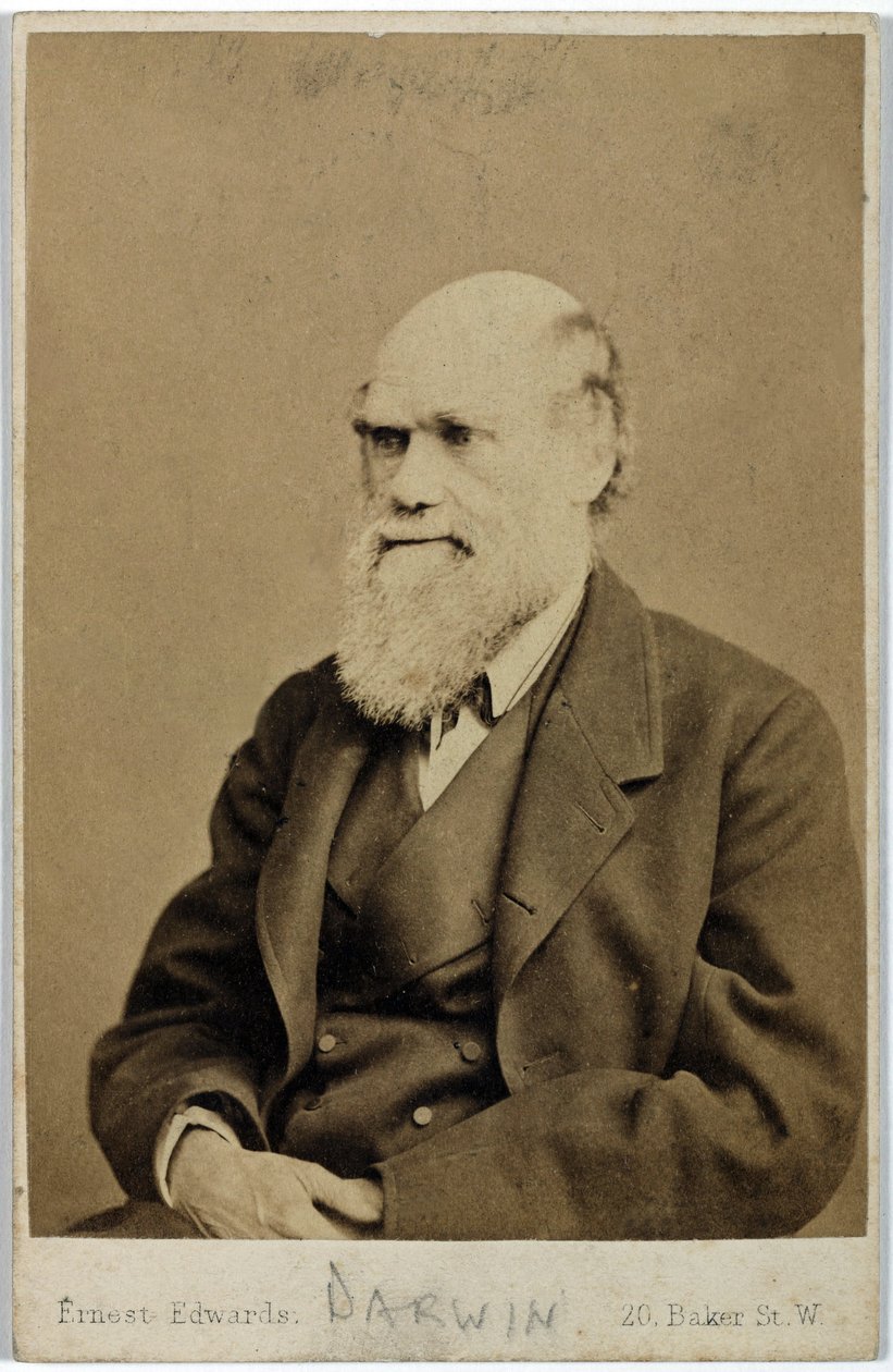 Karol Darwin, angielski przyrodnik, ok. 1870 autorstwa Ferdinand Georg Waldmuller