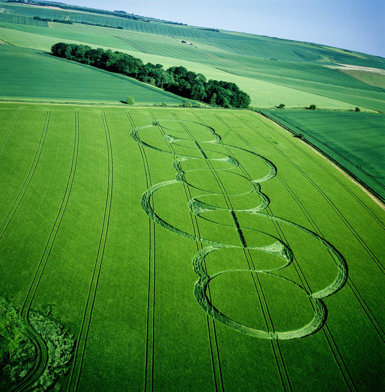 Krąg zbożowy na polu jęczmienia, Beckhampton, Wiltshire, 5 czerwca 2005 (zdjęcie lotnicze) autorstwa Ferdinand Georg Waldmuller