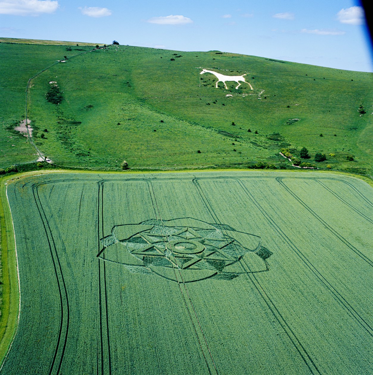 Krąg zbożowy na polu pszenicy, Milk Hill, Alton Priors, Vale of Pewsey, Wiltshire autorstwa Ferdinand Georg Waldmuller