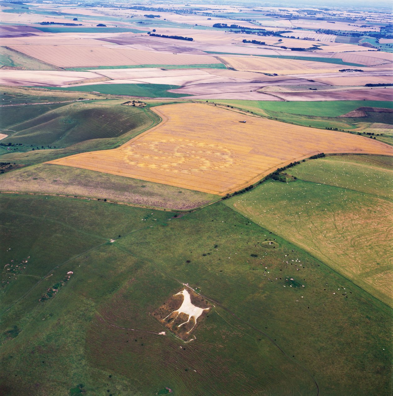 Krąg zbożowy na polu pszenicy, Milk Hill, Alton Priors, Vale of Pewsey, Wiltshire autorstwa Ferdinand Georg Waldmuller