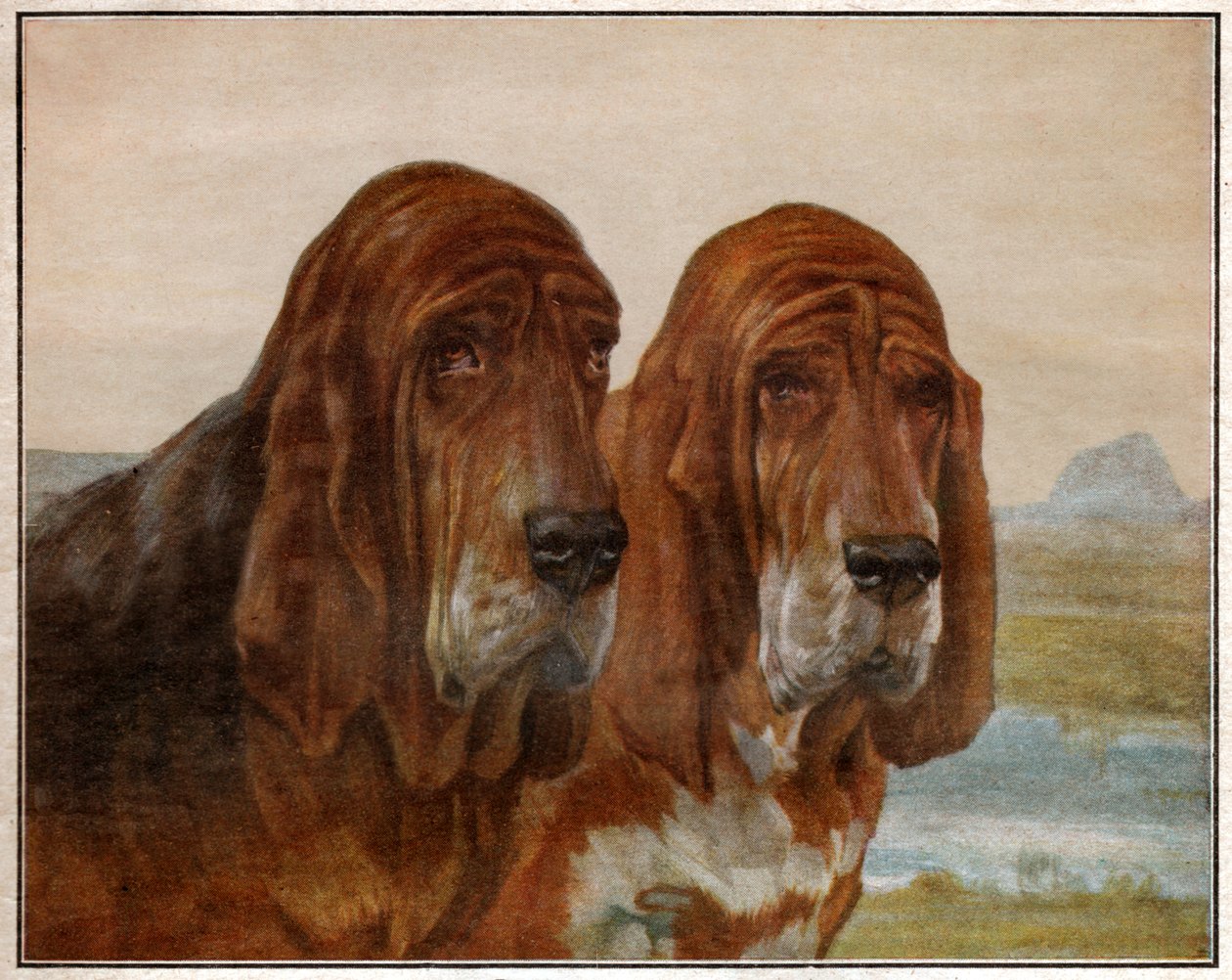 Psy św. Huberta lub Ogara. 1925 (ilustracja) autorstwa . .