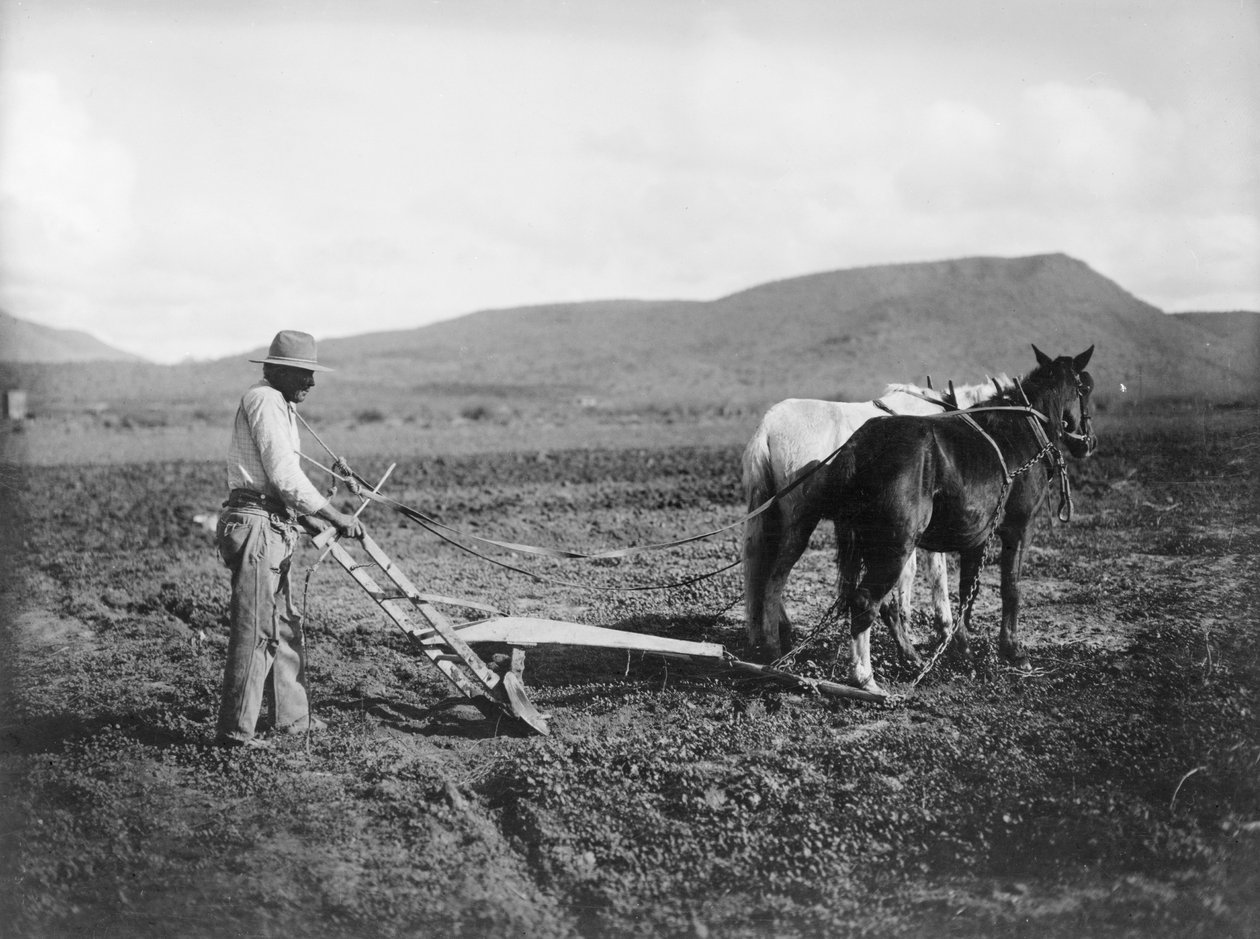 Indianin orający swoją ziemię, Rezerwat Indian Sacaton, Arizona, ok. 1909 (zdjęcie czarno-białe) autorstwa . .