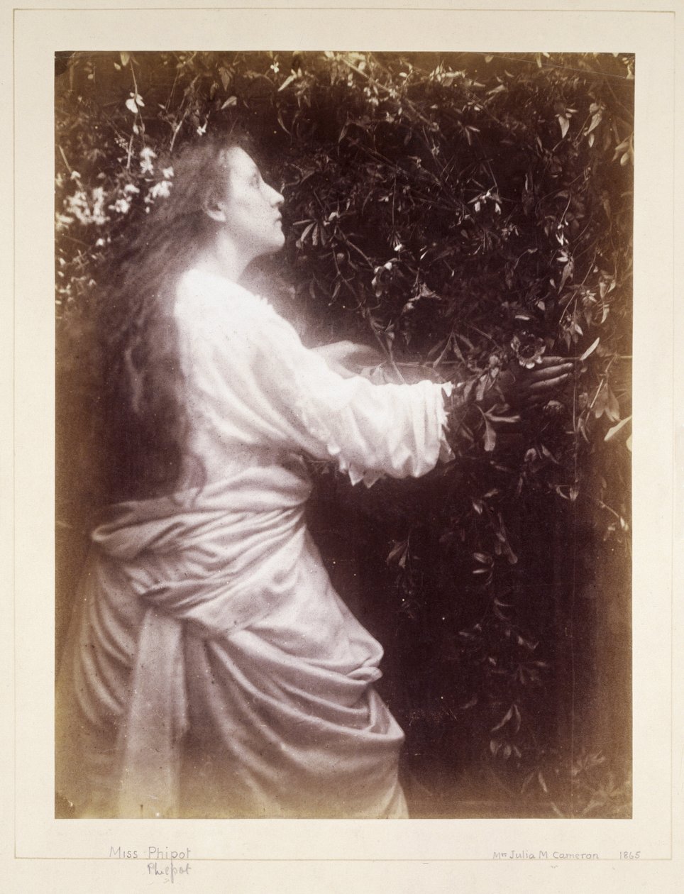 Mary Hillier, ok. 1865 autorstwa John Pardon