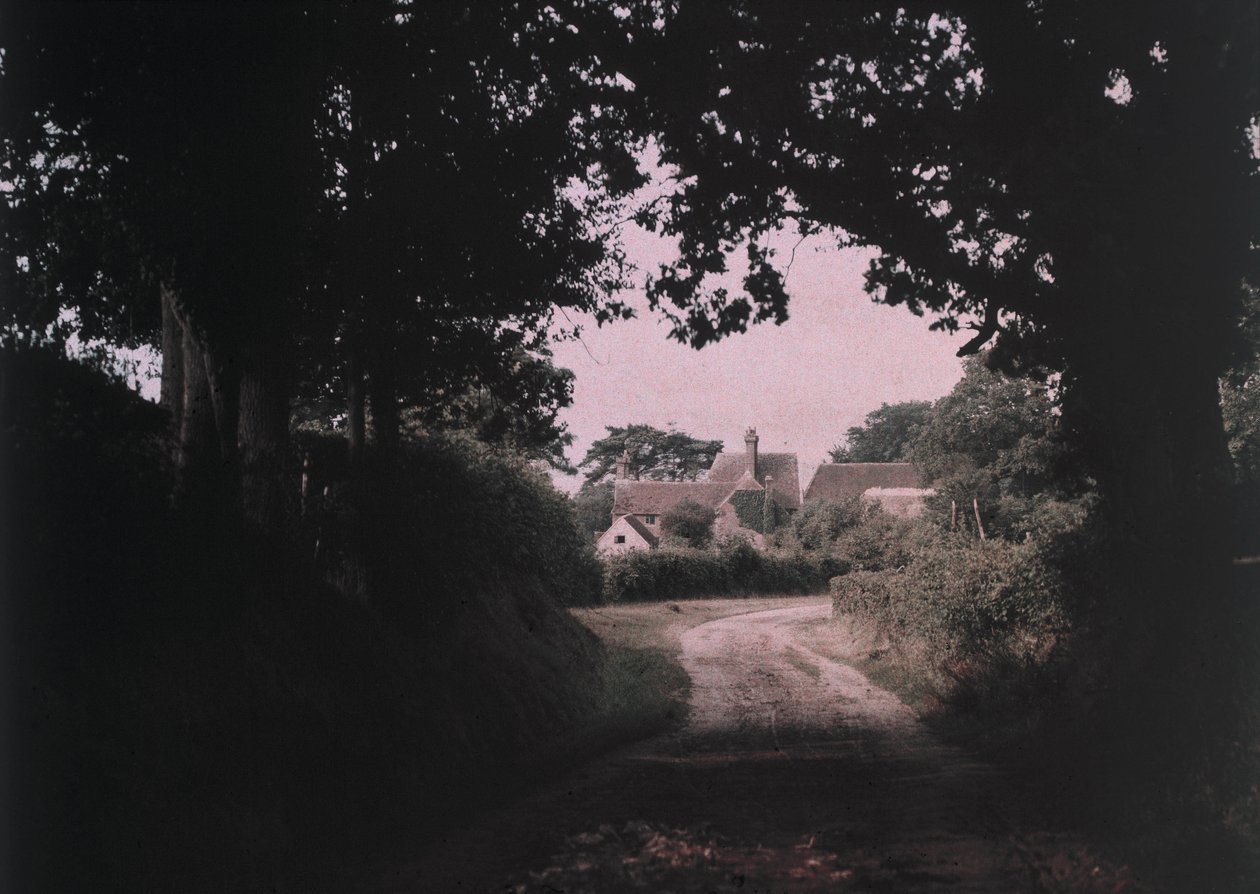 Fotografia „Sen Midsummer” autorstwa Arthura E Mortona, członka „The Society of Colour Photographers”, eksperymentował z procesami i technikami wczesnej fotografii kolorowej do początku XX wieku autorstwa Frederick (attr. to) Barnard