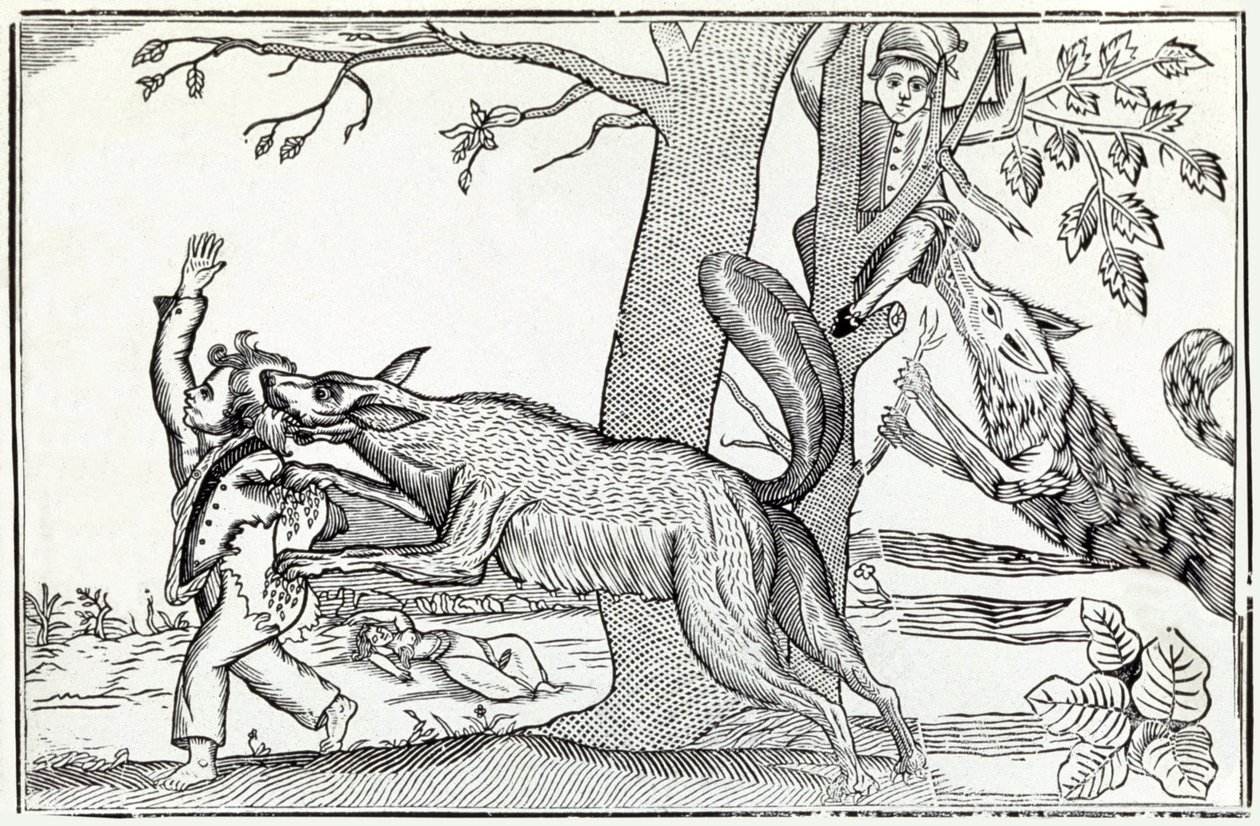 Wilk ok. 1820 r. (rycina) autorstwa . .