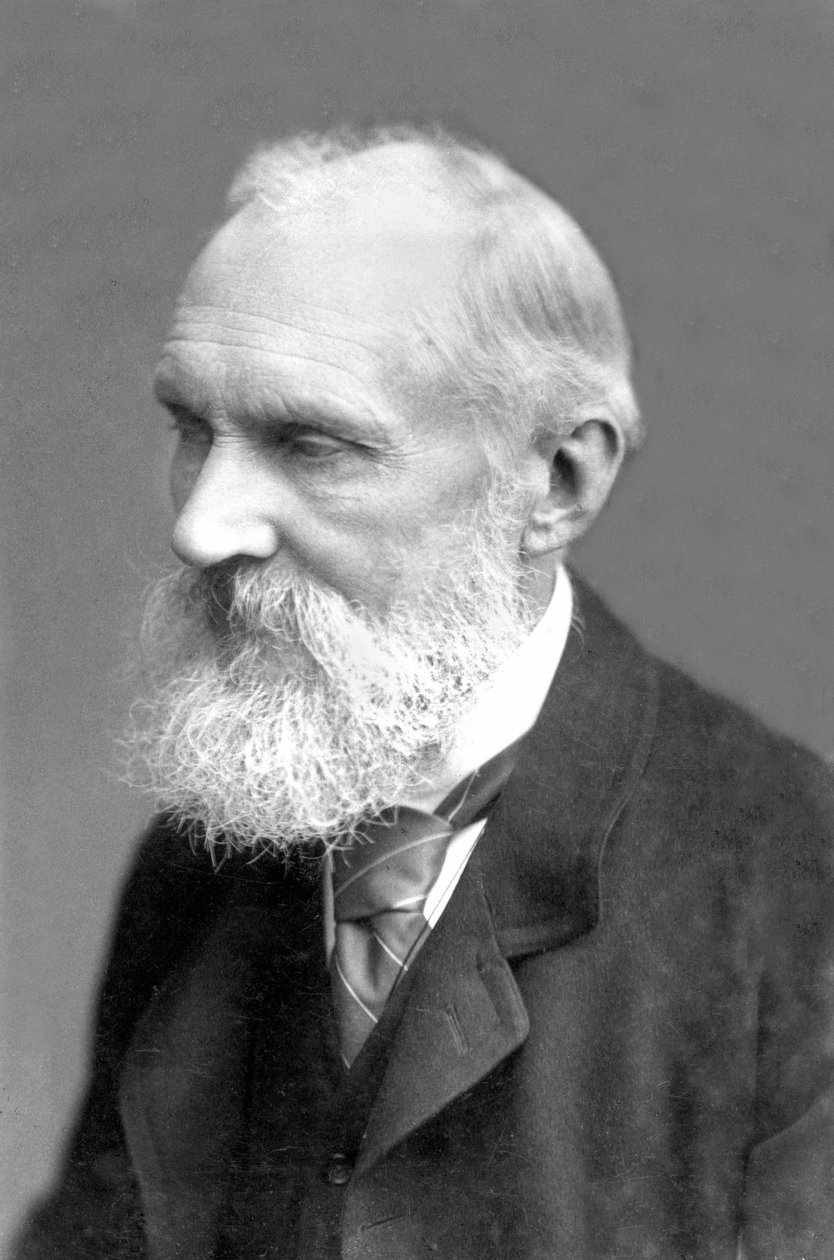 Wielka Brytania : William Thomson Kelvin autorstwa Frederick (attr. to) Barnard