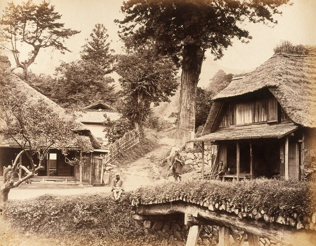 Zobacz w Eiyama, c autorstwa John Pardon