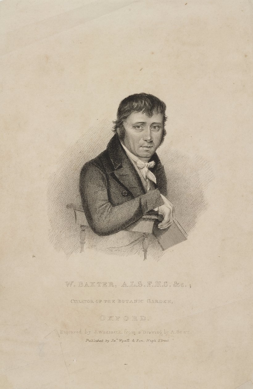 William Baxter, ALS FHS, brytyjski botanik, ok. 1820 autorstwa Frederick (attr. to) Barnard