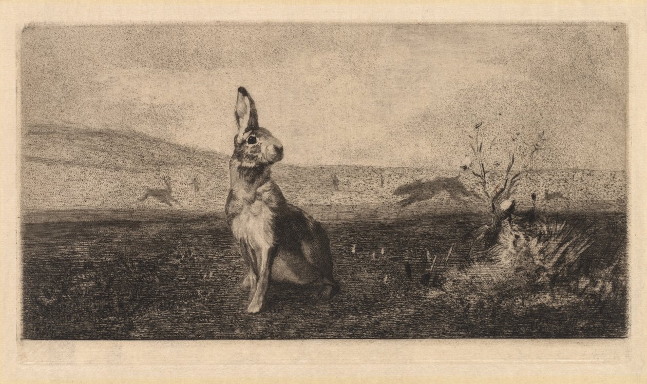 Zając autorstwa after Albert de Balleroy