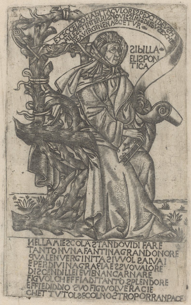 Hellespontyńska Sybilla autorstwa after Baccio Baldini