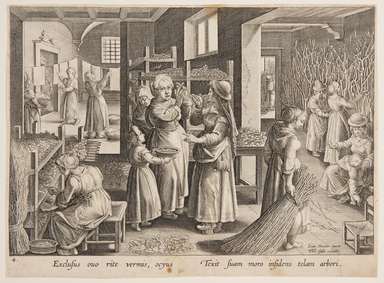 Karmienie jedwabników liśćmi morwy autorstwa after Jan van der Straet, called Stradanus