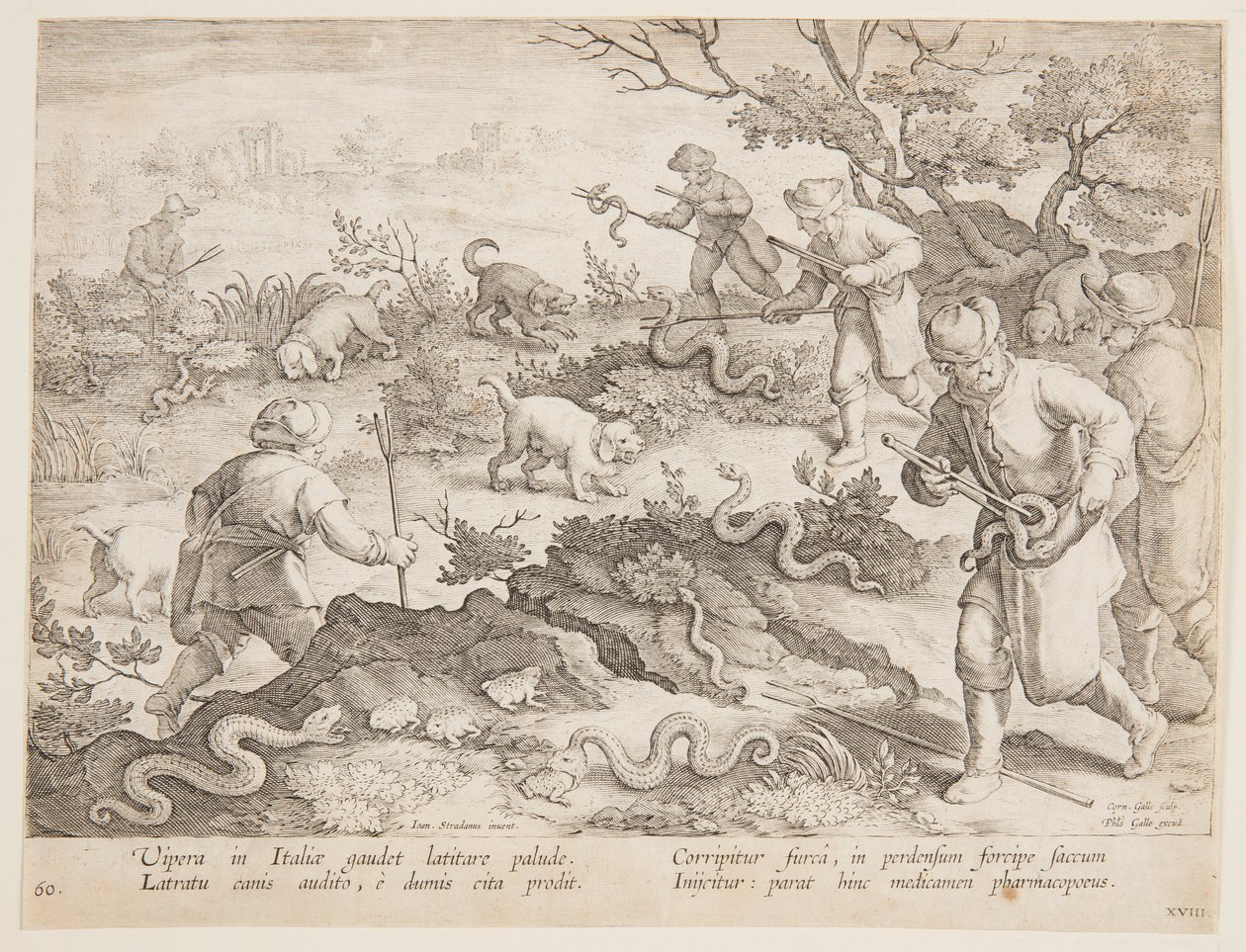 Polowanie na węże autorstwa after Jan van der Straet, called Stradanus