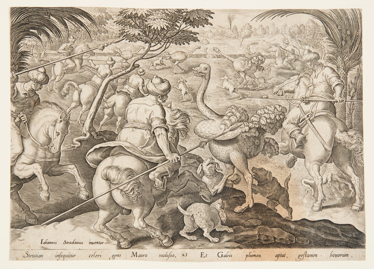 Polowanie na strusia autorstwa after Jan van der Straet, called Stradanus