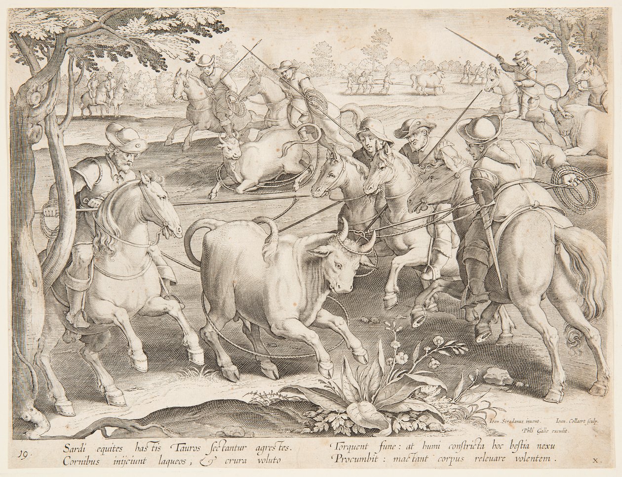 Łapanie dzikich byków autorstwa after Jan van der Straet, called Stradanus