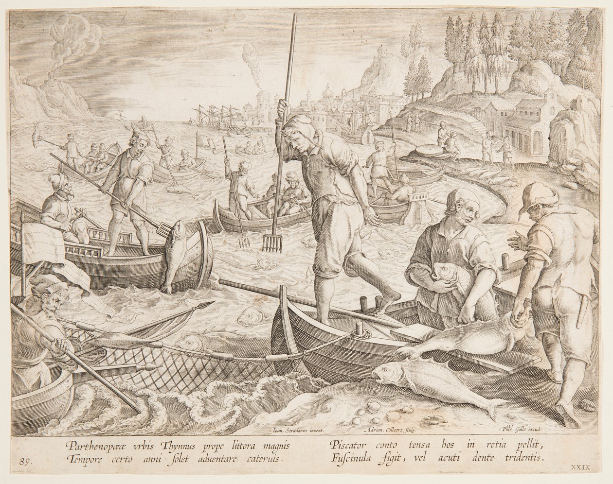 Połów tuńczyka autorstwa after Jan van der Straet, called Stradanus