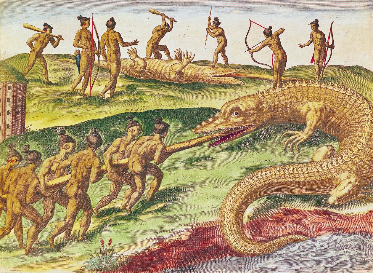 Polowanie na krokodyle, z „Brevis Narratio...”, wydane przez Theodore de Bry, 1591, (kolorowe grawerowanie) autorstwa after Le Moyne, J.Bry